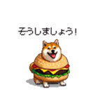 柴犬バーガー シバーガー な太っちょ柴犬（個別スタンプ：34）