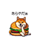 柴犬バーガー シバーガー な太っちょ柴犬（個別スタンプ：35）