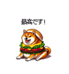 柴犬バーガー シバーガー な太っちょ柴犬（個別スタンプ：38）