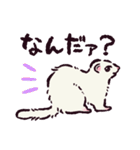 フェレットです（個別スタンプ：1）
