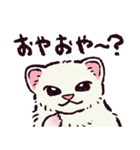 フェレットです（個別スタンプ：2）