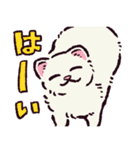 フェレットです（個別スタンプ：3）
