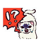 フェレットです（個別スタンプ：7）