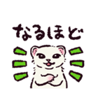フェレットです（個別スタンプ：9）