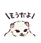 フェレットです（個別スタンプ：11）