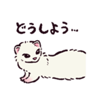 フェレットです（個別スタンプ：19）