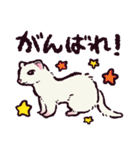 フェレットです（個別スタンプ：21）