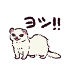 フェレットです（個別スタンプ：24）