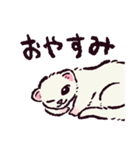 フェレットです（個別スタンプ：34）