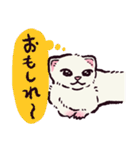 フェレットです（個別スタンプ：38）