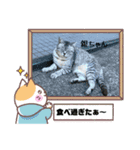 ソルテ(幸運)（個別スタンプ：1）