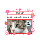 ソルテ(幸運)（個別スタンプ：3）