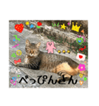 ソルテ(幸運)（個別スタンプ：7）