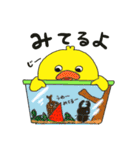 夏だ！毎日使えるカラアニサマースタンプ（個別スタンプ：11）