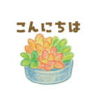 ずっと使える 毎日使える 癒しの多肉植物（個別スタンプ：1）