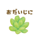 ずっと使える 毎日使える 癒しの多肉植物（個別スタンプ：8）