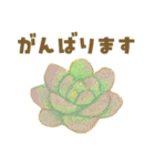 ずっと使える 毎日使える 癒しの多肉植物（個別スタンプ：9）