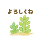 ずっと使える 毎日使える 癒しの多肉植物（個別スタンプ：10）