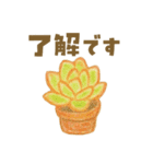 ずっと使える 毎日使える 癒しの多肉植物（個別スタンプ：11）
