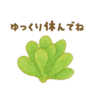 ずっと使える 毎日使える 癒しの多肉植物（個別スタンプ：12）