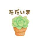 ずっと使える 毎日使える 癒しの多肉植物（個別スタンプ：13）