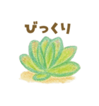 ずっと使える 毎日使える 癒しの多肉植物（個別スタンプ：15）