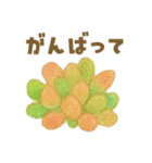 ずっと使える 毎日使える 癒しの多肉植物（個別スタンプ：17）