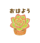 ずっと使える 毎日使える 癒しの多肉植物（個別スタンプ：21）