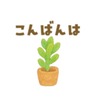 ずっと使える 毎日使える 癒しの多肉植物（個別スタンプ：23）