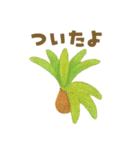 ずっと使える 毎日使える 癒しの多肉植物（個別スタンプ：24）