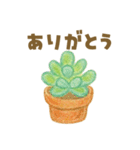 ずっと使える 毎日使える 癒しの多肉植物（個別スタンプ：27）