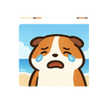 海のハムスター3@SFW（個別スタンプ：5）