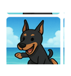 海のドーベルマン@SFW（個別スタンプ：11）