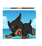 海のドーベルマン@SFW（個別スタンプ：12）
