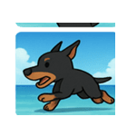 海のドーベルマン@SFW（個別スタンプ：13）