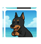 海のドーベルマン@SFW（個別スタンプ：14）