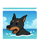 海のドーベルマン@SFW（個別スタンプ：16）