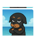 海のドーベルマン@SFW（個別スタンプ：24）