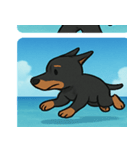 海のドーベルマン@SFW（個別スタンプ：29）