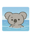 海のコアラ@SFW（個別スタンプ：8）