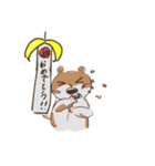 とんさん愛好家（個別スタンプ：12）