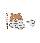 とんさん愛好家（個別スタンプ：14）