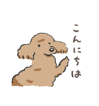 みんなだいすきトイプーさん（個別スタンプ：1）