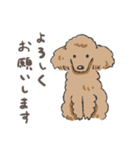 みんなだいすきトイプーさん（個別スタンプ：2）