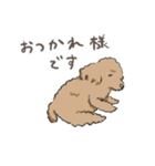 みんなだいすきトイプーさん（個別スタンプ：3）