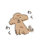 みんなだいすきトイプーさん（個別スタンプ：5）