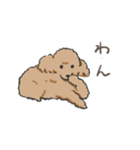 みんなだいすきトイプーさん（個別スタンプ：6）