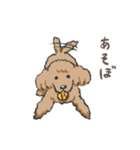 みんなだいすきトイプーさん（個別スタンプ：10）