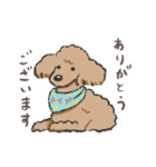 みんなだいすきトイプーさん（個別スタンプ：13）