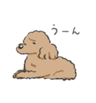 みんなだいすきトイプーさん（個別スタンプ：15）